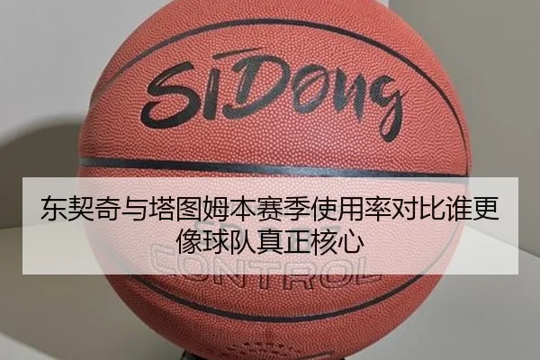 东契奇与塔图姆本赛季使用率对比谁更像球队真正核心