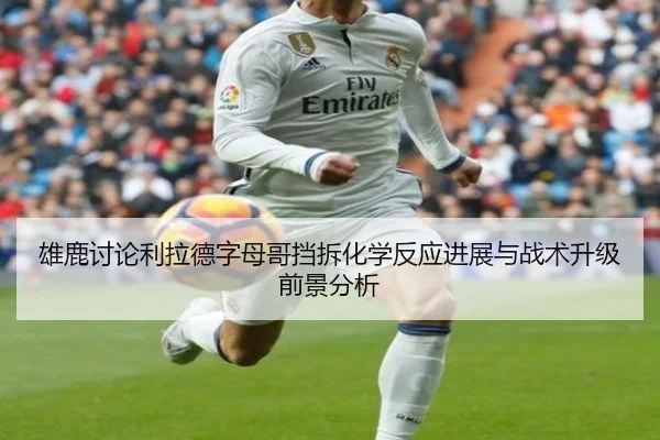 雄鹿讨论利拉德字母哥挡拆化学反应进展与战术升级前景分析